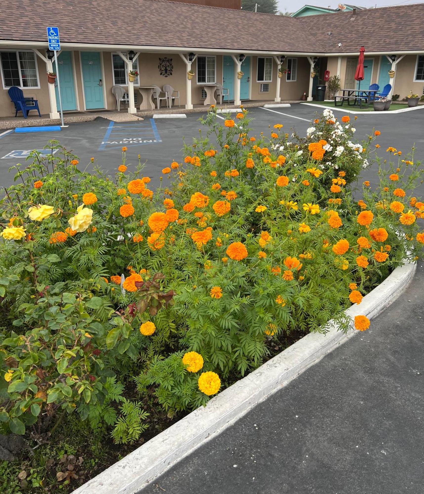 Central Coast Inn Cayucos Ngoại thất bức ảnh